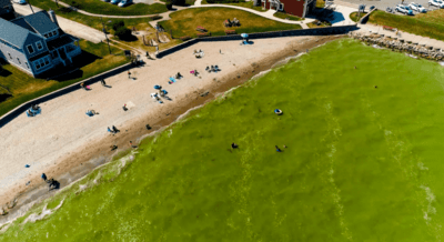 copia-di-dghff-2023-presents-the-erie-situation-kopie copia-di-dghff-2023-presents-the-erie-situation-kopie